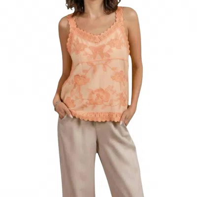 Paparazzi Crochet Butterfly Tunic Top In Apricot In Nude
