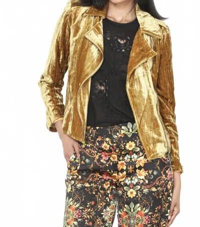 Paparazzi Crushed Velvet Moto Jacket In Gold