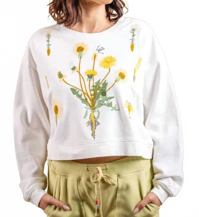 Paparazzi Embroidered French Terry Long Sleeve Crop Top In White