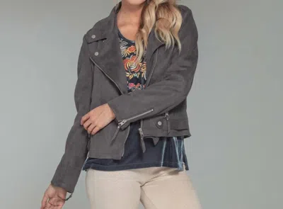 Paparazzi Faux Suede Moto Jacket In Charcoal In Gray