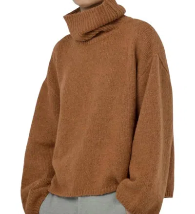 Paper Label Nyla Turtle Neck Top In Golden Nutshell In Brown