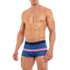 Papi Beachside Stripes Brazilian Trunk In Very Berry In Pink