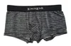 Papi Men's Stripe Trunk Underwear In Charcoal Grey In Grey