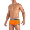 Papi Retro Original Gym Short In Dragonfire In Multi