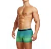 Papi Standard Ocean Breeze Mid Trunk In Green Gecko In Multi
