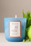 Papier X Anthropologie Fruity Veloce Retriever Glass Candle In Blue