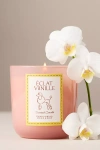 Papier X Anthropologie Gourmand Éclat Vanille Poodle Glass Candle In Pink