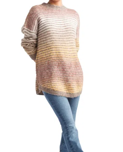 Papillon Cozy Terrain Stripe Sweater In Brown