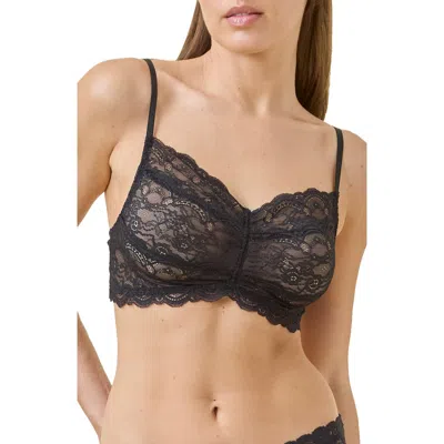 Papinelle Lace Bralette