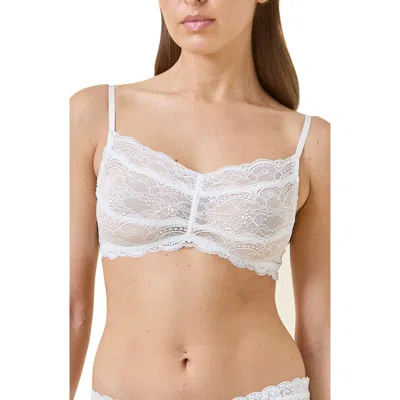 Papinelle Lace Bralette