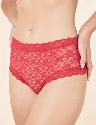 Papinelle Lulu Lace High Rise Knicker