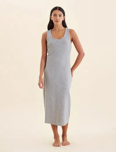 Papinelle Milla Rib Shelf Bra Dress In Grey