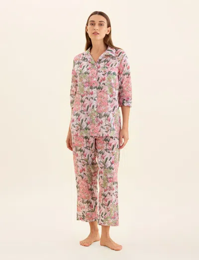 PAPINELLE PALISADES CROP PJ