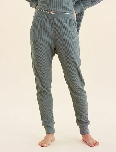 Papinelle Super Soft Waffle Exposed Elastic Jogger In Gray