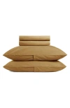 Parachute Brushed Cotton Sheet Set In Brown