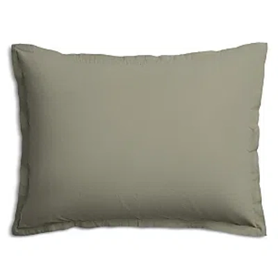 Parachute Brushed Cotton Standard Sham, Set Of 2 In Moss