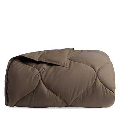 Parachute Cotton Drift Comforter, King/california King In Brown