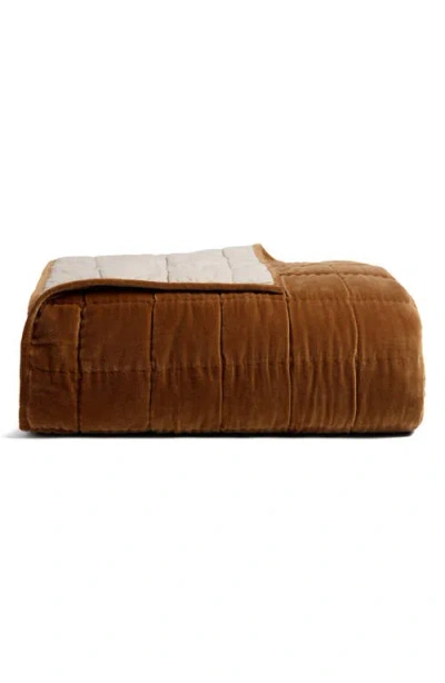 Parachute Hand Stitched Velveteen Quilt In Brown