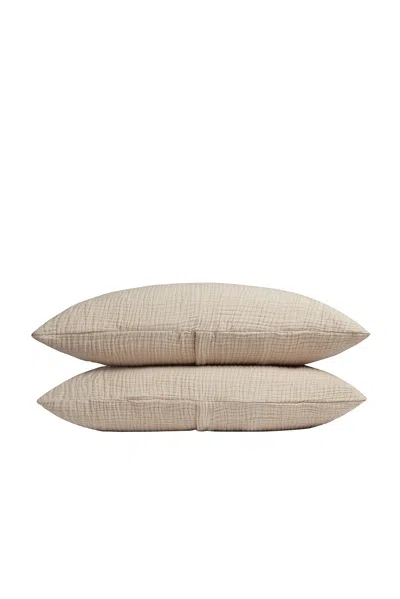 Parachute Organic Cloud Cotton Sham Set In Natural
