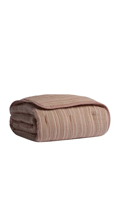 Parachute Organic Cloud Cotton Stripe Toddler Quilt In Brown