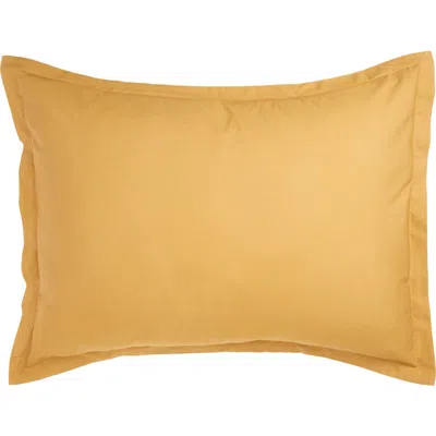 Parachute Set Of 2 Brushed Cotton Shams In Yellow