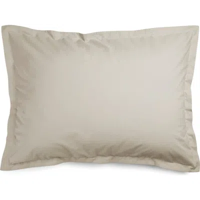 Parachute Set Of 2 Brushed Cotton Shams In Neutral