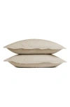 Parachute Set Of 2 Brushed Cotton Shams In Bone
