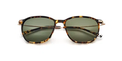 Paradigm 19-38 Polarized Tartarugati Occhiali Da Sole Tartarugatishell Per Uomo In Brown