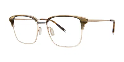 Paradigm Andre Women's Glasses, Tortoiseshell, Size 53