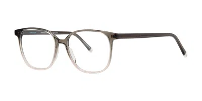 Paradigm Ari Soho Women's Glasses Brown Size 54 - Free Lenses - Blue Light Block Available In Gray