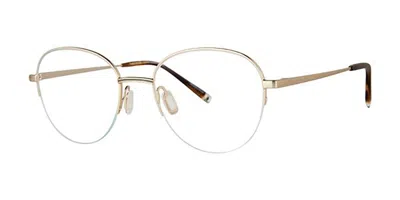 Paradigm Cassidy Men's Glasses, Gold, Size 50