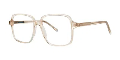 Paradigm Fonda Men's Glasses, Brown, Size 56