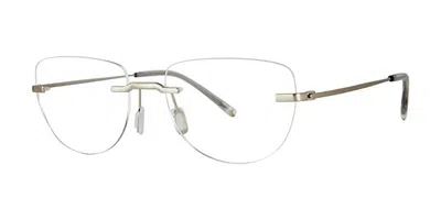 Paradigm Hoffman Men's Glasses, Silver, Size 53