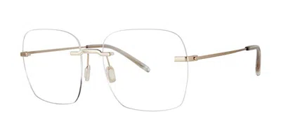 Paradigm Marvin Men's Glasses, Gold, Size 57