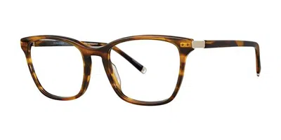Paradigm Morrison Men's Glasses, Tortoiseshell, Size 49 In Brown