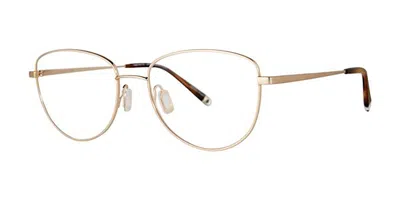 Paradigm Pryor Men's Glasses, Gold, Size 53