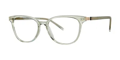 Paradigm Seymour Men's Glasses, Green, Size 51