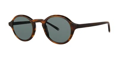 Paradigm Soli Sun Tortoise Men's Sunglasses Tortoiseshell Size 46