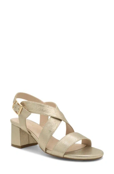 Paradox London Pink Ida Ankle Strap Sandal In Champagne