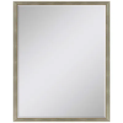 Paragon #180 Metallic Neutral Wall Mirror - 38" X 50"