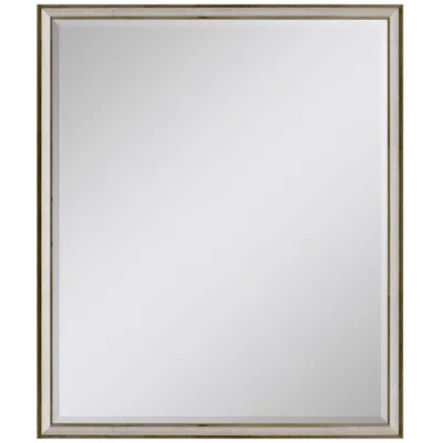 Paragon #615 Metallic Neutral Wall Mirror - 24" X 30"