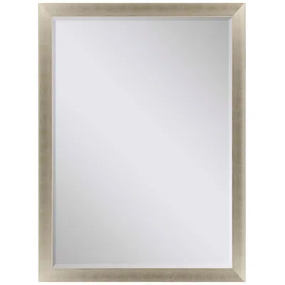 Paragon #790 Metallic Neutral Wall Mirror - 29" X 41"
