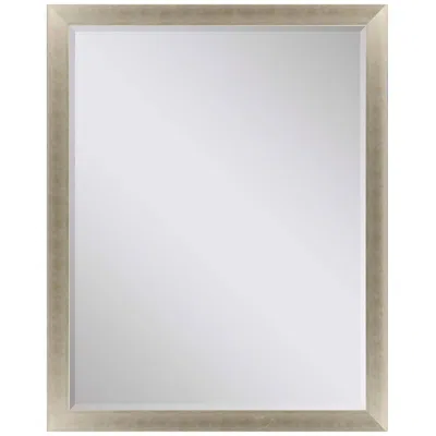 Paragon #790 Metallic Neutral Wall Mirror - 35" X 45"