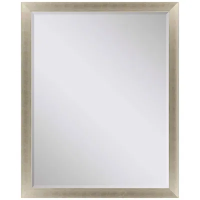 Paragon #790 Metallic Neutral Wall Mirror - 41" X 53"