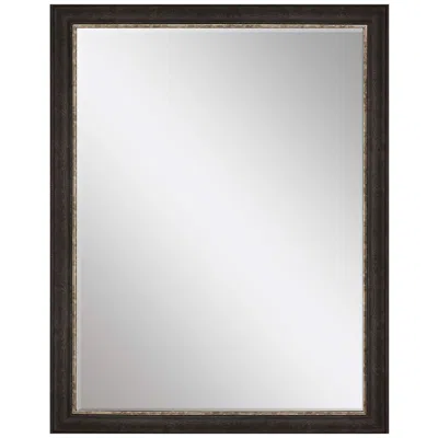 Paragon #843 Brown Metallic Wall Mirror - 41" X 53"