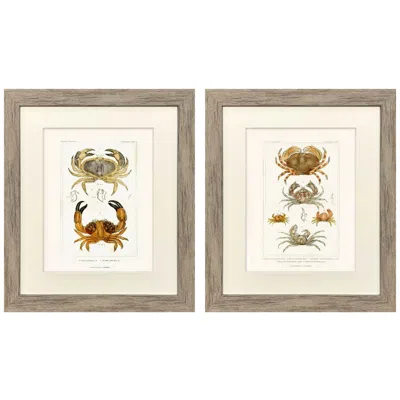 Paragon Antique Crab 18"w X 21"h Framed Art - Set Of 2