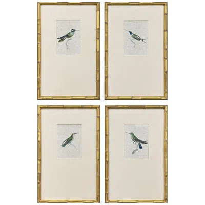 Paragon Antique Hummingbirds 12"w X 19"h Traditional Framed Art Set Of 4