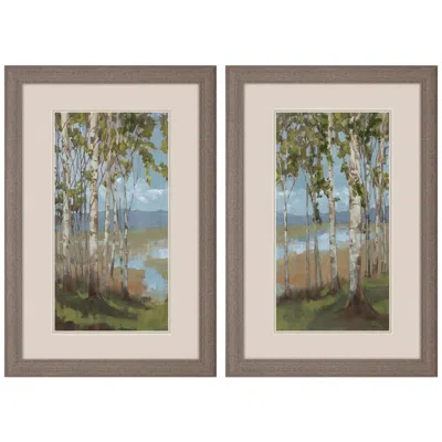 Paragon Aspen Spring 21"w X 33"h Framed Art Set Of 2