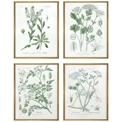 Paragon Assemblage 25" High 4-piece Giclee Framed Wall Art Set
