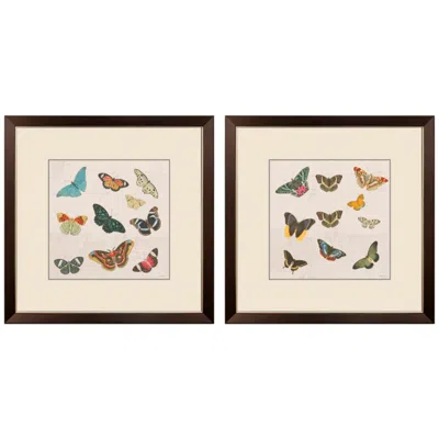 Paragon Assorted Butterflies 27"w X 27"h Framed Art - Set Of 2 In Multi